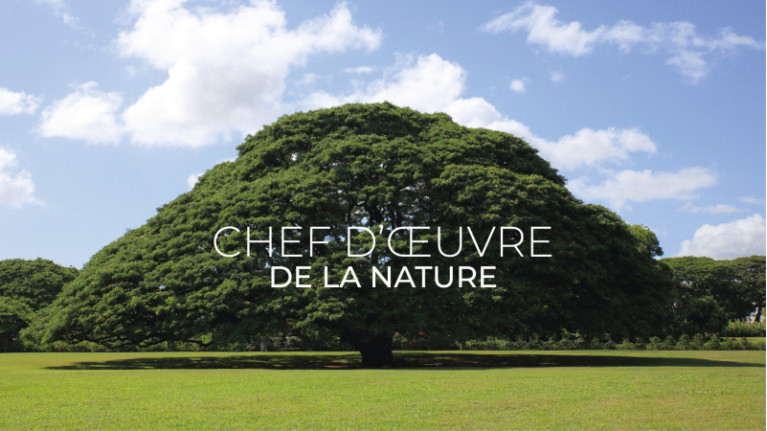 UNIQUE round coffee table | A unique piece for your living room