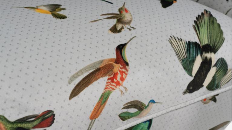 CASSANDRA headrestless armchair | Design and contemporary