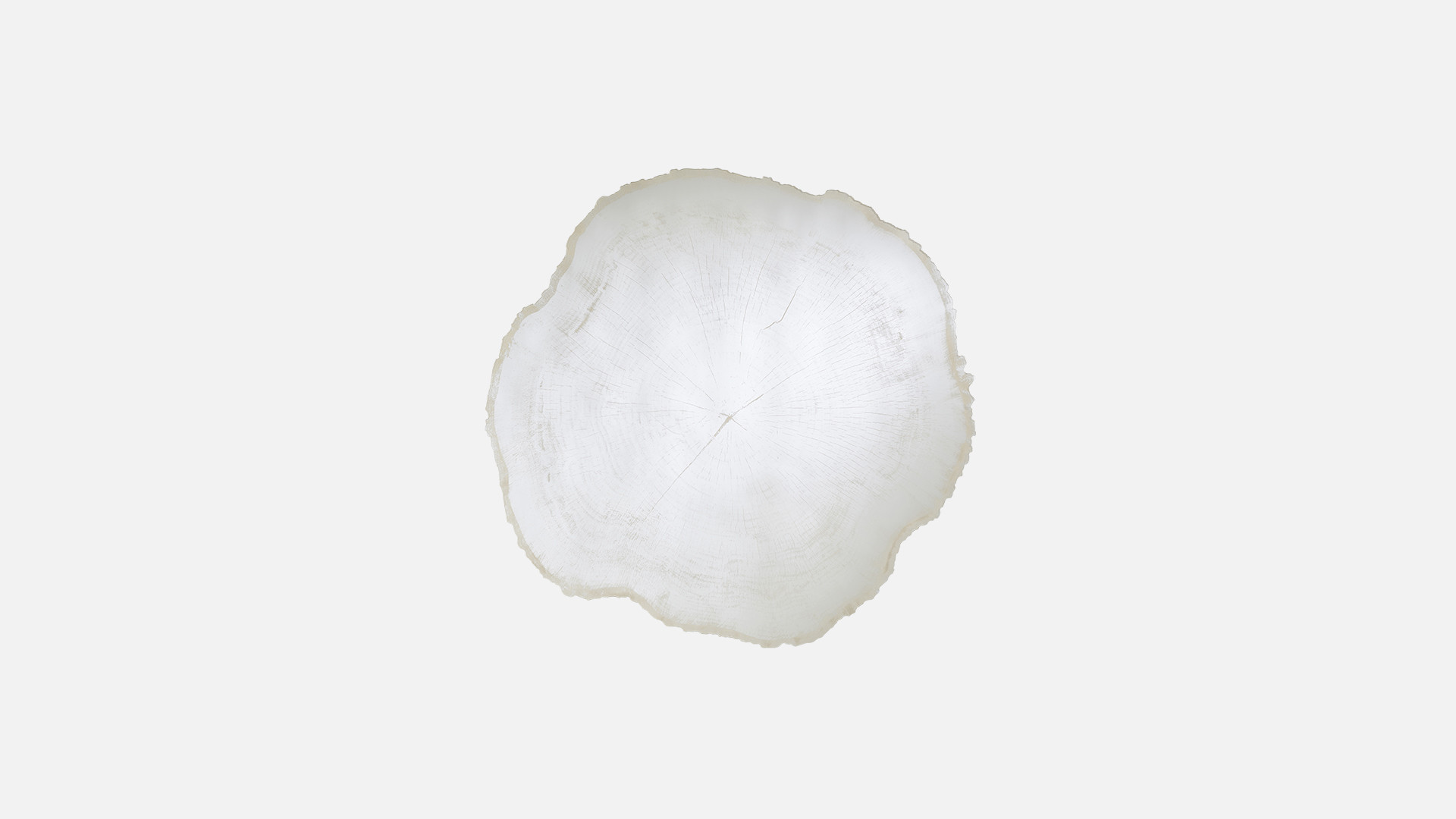 ARBO ICE mirror | Majesty of the tree