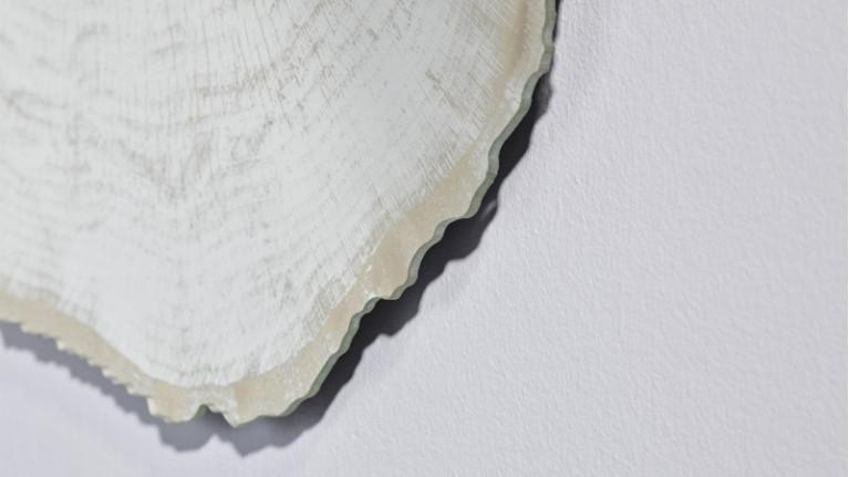 ARBO ICE mirror | Majesty of the tree