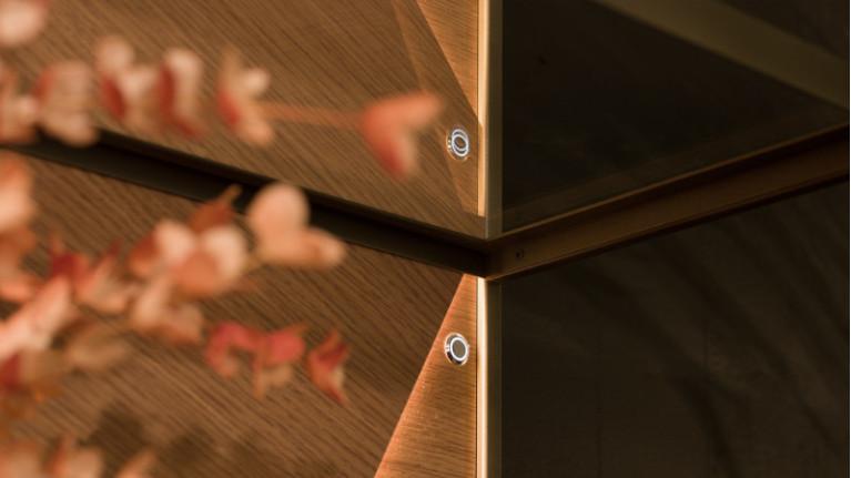 ECLIPSE bookcase | Customized and design bookcase