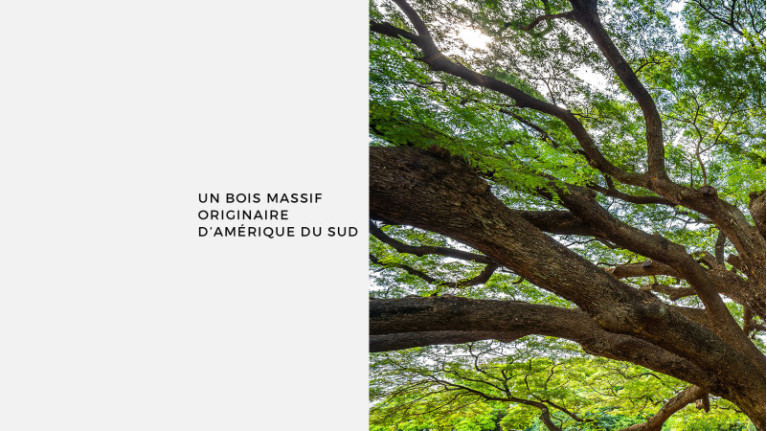 UNIQUE round coffee table | A unique piece for your living room