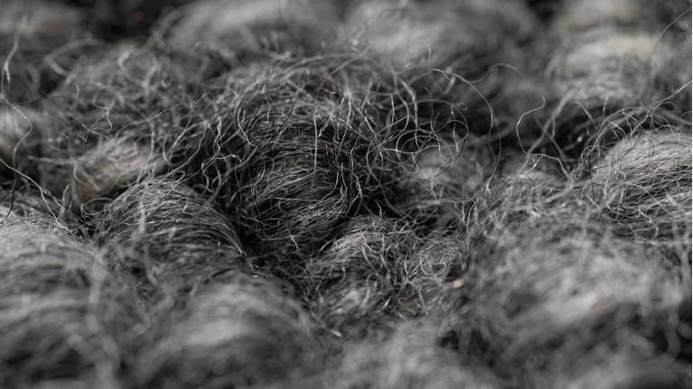 Carpet BERGEN | Natural and sophisticated touch