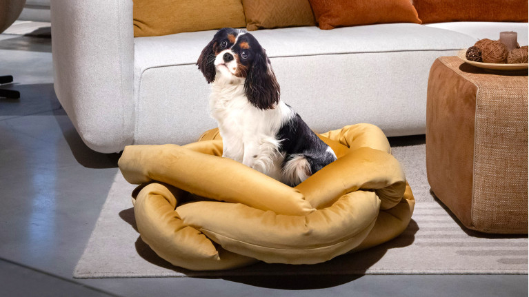 Panier pour chien LUNA | Confort moelleux et design tressé velours