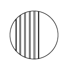 PIANA (Canada)
